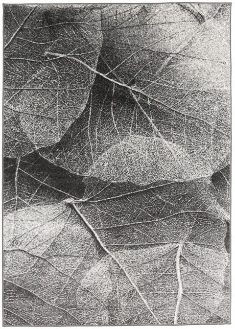 Harmaa, lehtikuviolla kuvioitu Linea leaf-käytävämatto. Maton pinta on kuin valokuvattu.